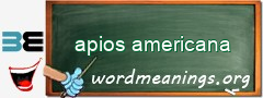 WordMeaning blackboard for apios americana